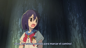 Flip Flappers